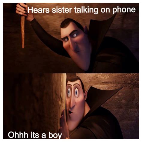 hotel transylvania memes|hotel transylvania meme song.